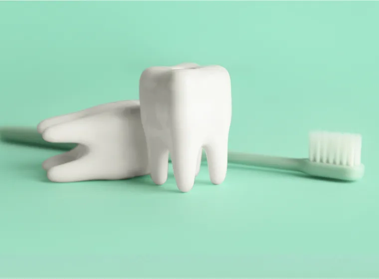 写真：予防歯科
